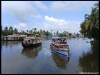 Alleppey118