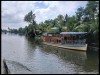 Alleppey65