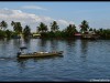 Alleppey80