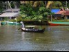 Alleppey83