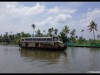 Alleppey85