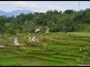 Harau_Valley30