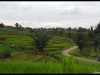 Harau_Valley48