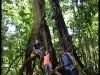 Jungle_Trek26