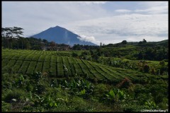 Kerinci_J2