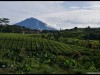 Kerinci_J2_1