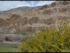 trek1_ladakh75